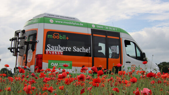 Mobil Bus mit Mohn im Vordergrund